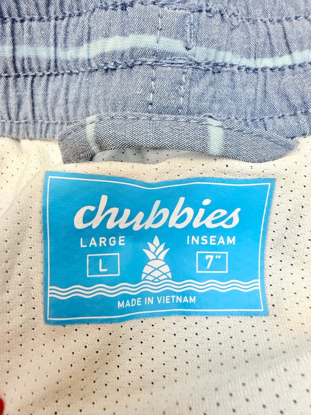 chubbies Light Blue and White Striped Swim Trunks